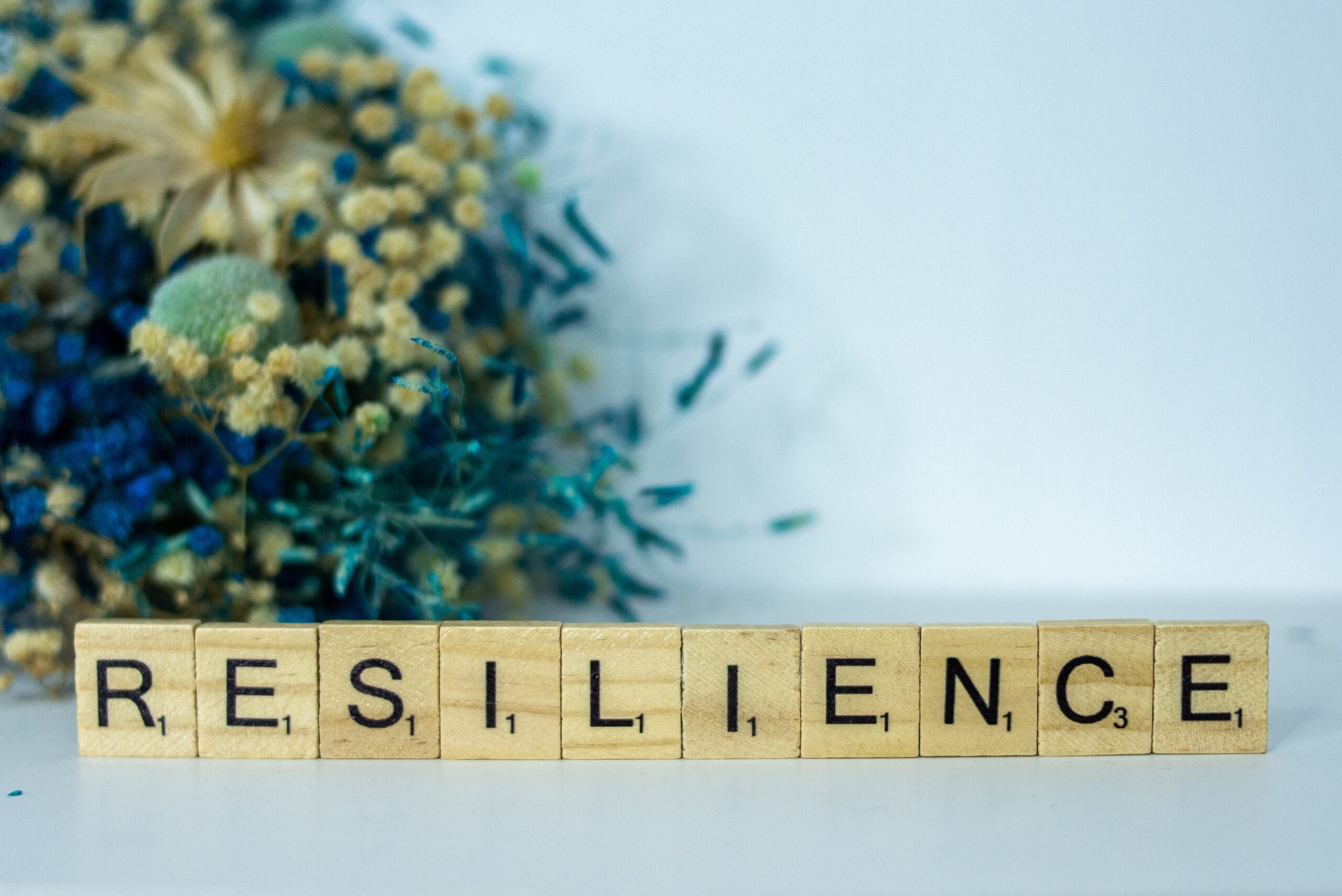 Building Resilience: Bouncing Back from Life’s Challenges 