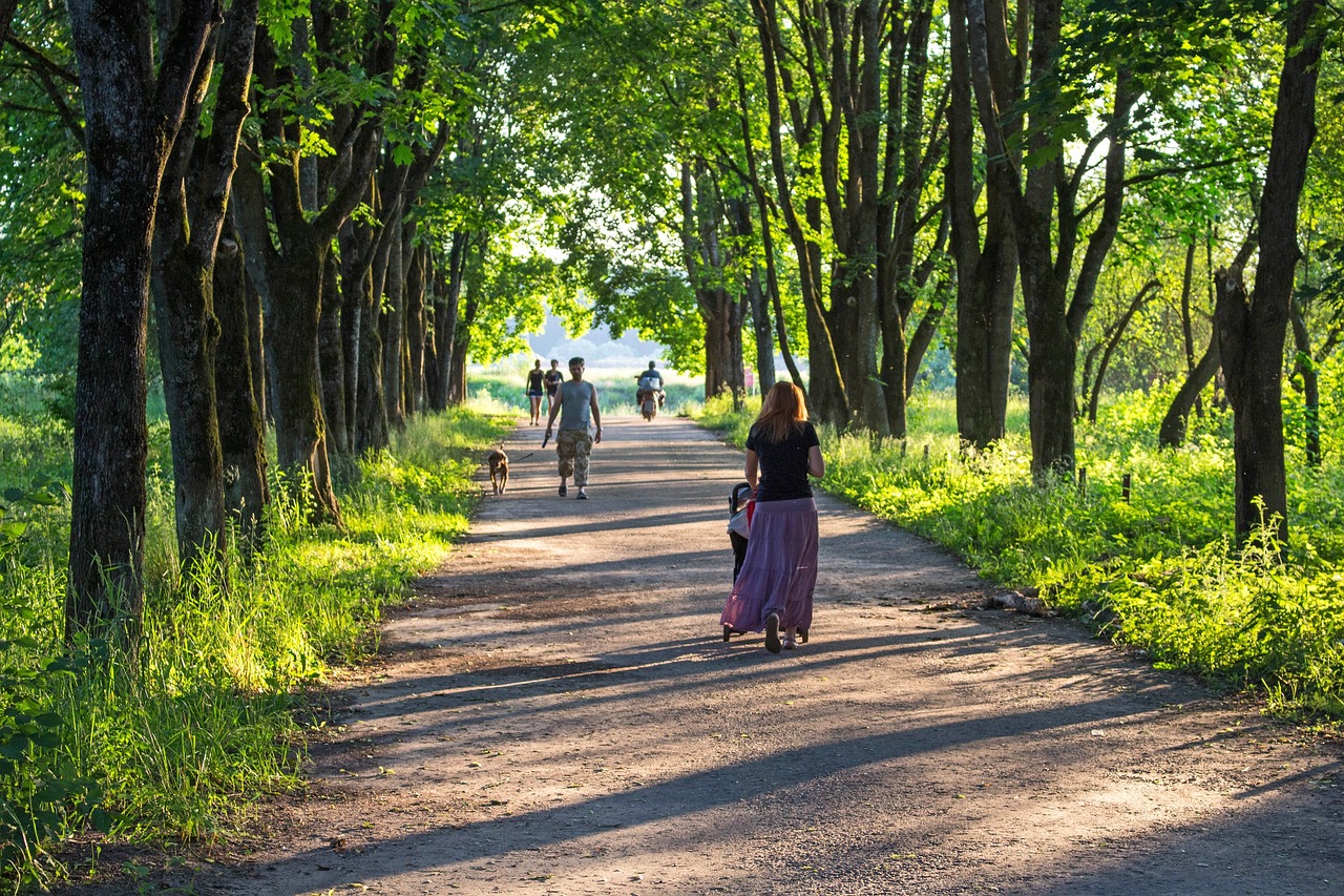 people outdoor walking a peaceful pathway full of beautiful blooming green trees promoting mindfulness mediation. image by fancycrave1